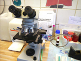 Mikroskopische Laboruntersuchung